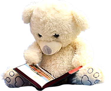 Wolontariat:  Zakończenie świątecznej zbiórki książek dla pacjentów Centrum Onkologicznego w Szczecinie 2025 r.